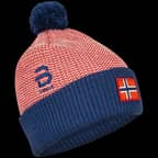 Norwegian flag Norwegian flag